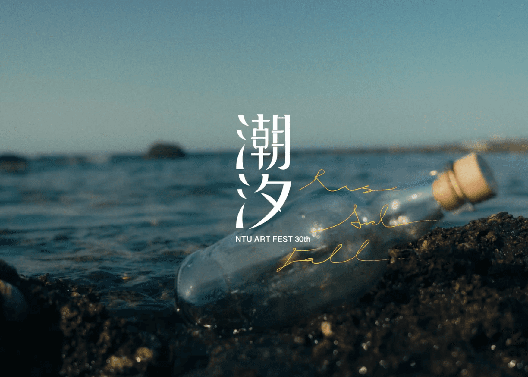 NTU ArtFest 30th Website